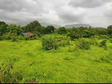  Plot – Garden View at Old Panvel - for Sale