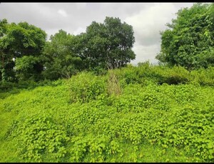  Plot – Garden View at Old Panvel - for Sale