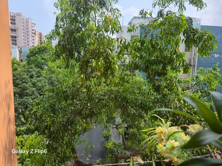 Garden, shrachi-greenwood-park 3 Bedroom 1080 Sq.Ft. Apartment In Rajarhat New Town Kolkata 8967311