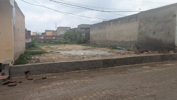 Plot Area in  Plot at Sector 142 – for Sale