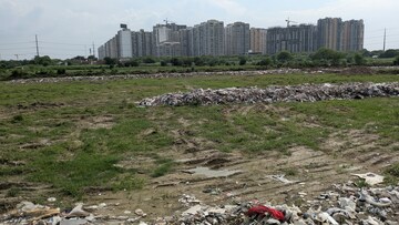 Plot Area in  Plot at Sector 142 – for Sale