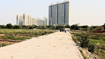Plot Area in  Plot at Sector 142 – for Sale