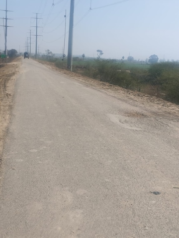 Plot Area in  Plot at Sector 142 – for Sale