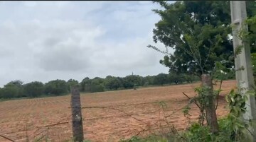 Plot Area in  Land at Shadnagar – for Sale