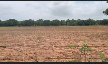 Plot Area in  Land at Shadnagar – for Sale