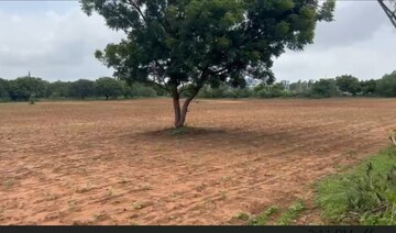 Plot Area in  Land at Shadnagar – for Sale