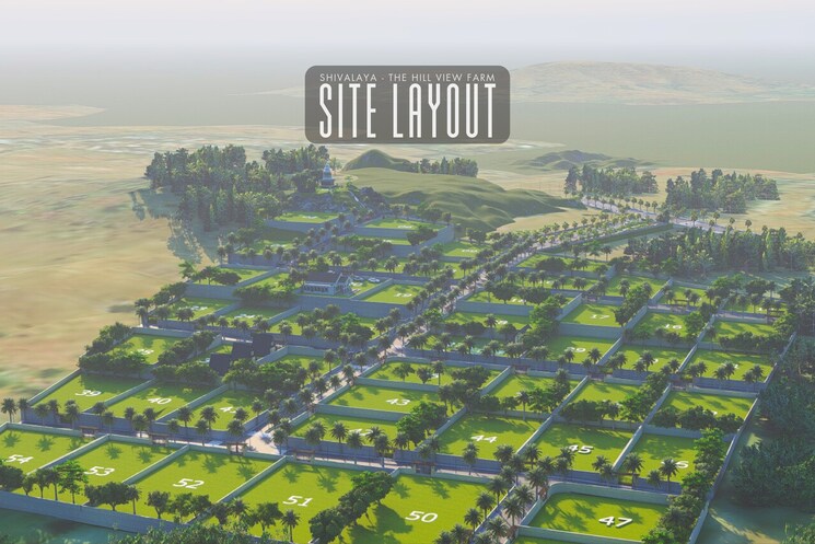 undefined, trimbak road  10890 Sq.Ft. Plot In Trimbak Road Nashik 8967832