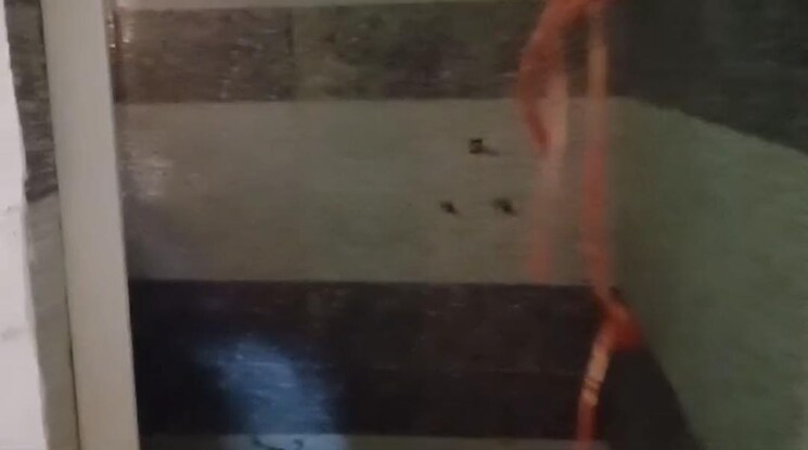 undefined, dum dum 2 Bedroom 1000 Sq.Ft. Apartment In Dum Dum Kolkata 8929338