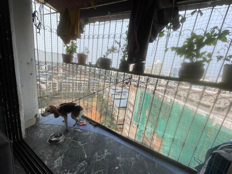 Balcony, tricity-palacio 2 Bedroom 650 Sq.Ft. Apartment In Seawoods Navi Mumbai 8967907