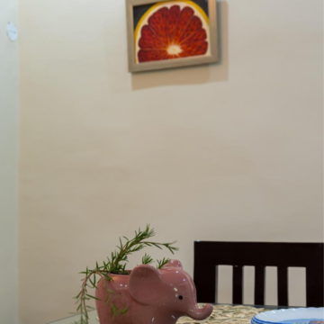 Furnished Amenities in  Office Space at Sirsi Road – for Rent