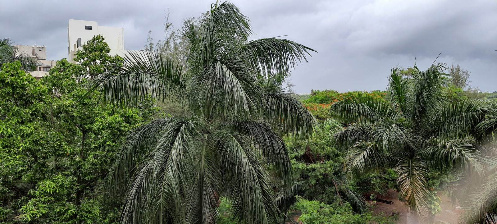 3 BHK + Servant Room 1555 Sq.Ft. Apartment in Harsh Vihar