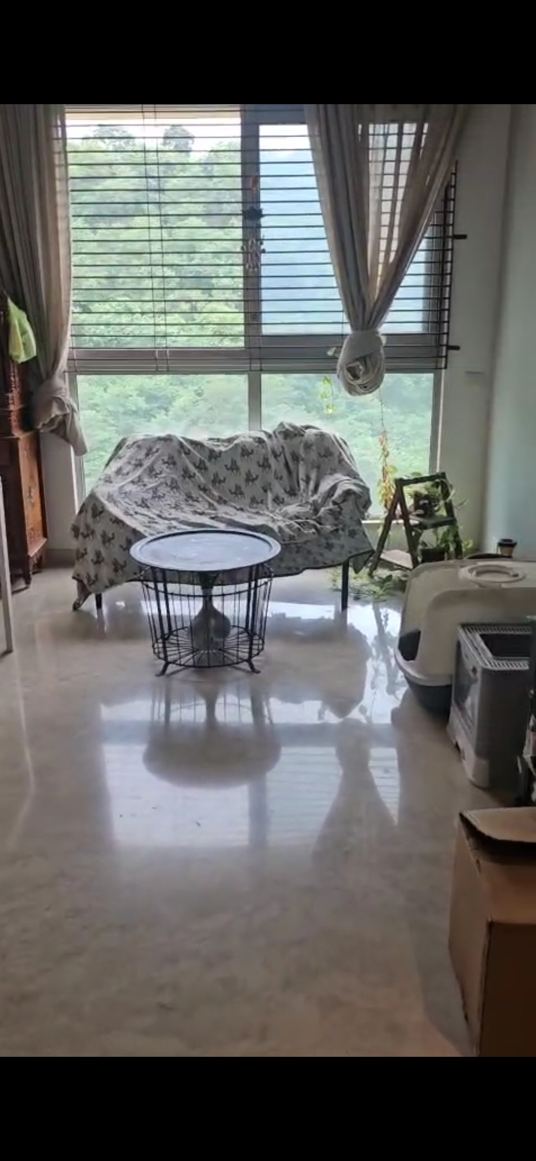 2 BHK + Study Room Apartment For Rent in Castle Rock