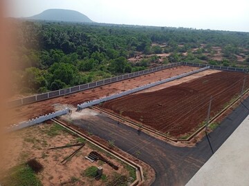 Plot Area in  Plot at Bhogapuram – for Sale