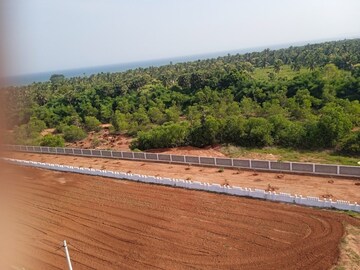 Plot Area in  Plot at Bhogapuram – for Sale