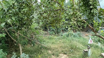  Plot For Sale in Fazullaganj