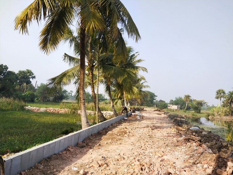 Garden, joka  2880 Sq.Ft. Plot In Joka Kolkata 8969026