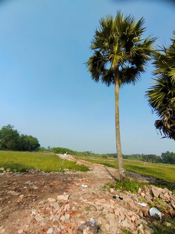  Plot – Garden View at Joka - for Sale