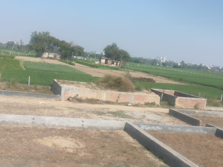 undefined, sector 148  250 Sq.Yd. Plot In Sector 148 Noida 8969316