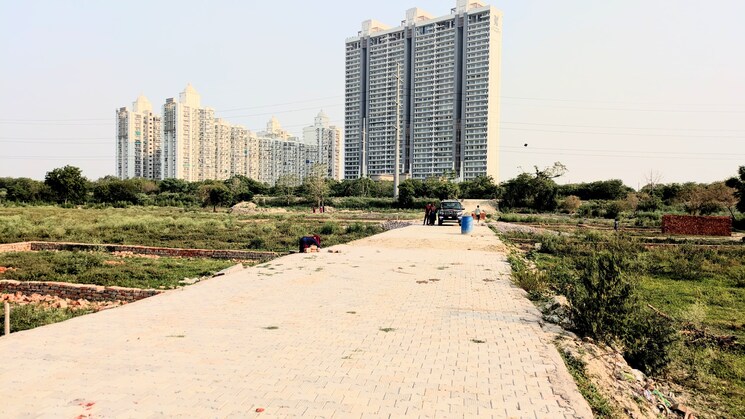 undefined, sector 142  900 Sq.Ft. Plot In Sector 142 Noida 8969405