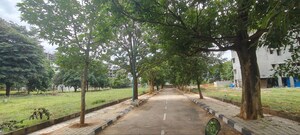 Plot Area in  Plot at Ozone Urbana Meadows, Devanahalli – for Sale