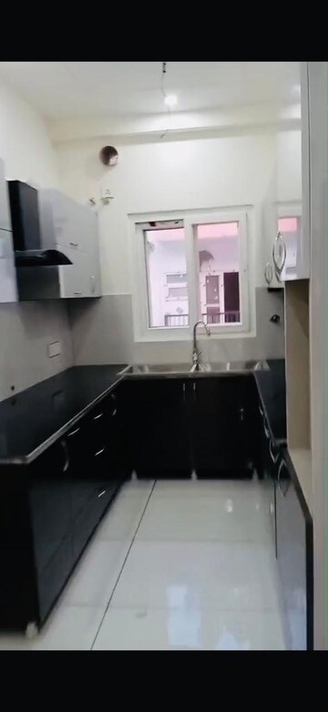 Kitchen in 3 BHK Builder Floor at Skynet Towers, Patiala Road – for Rent