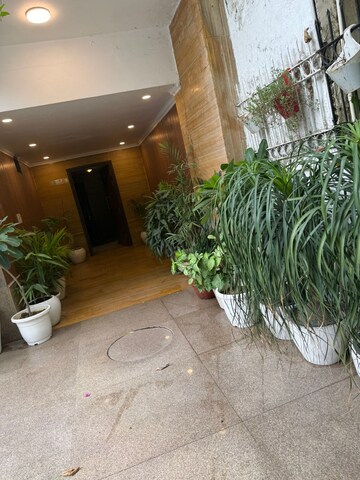 Parking in 3 BHK Builder Floor at Green Park – for Rent