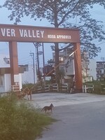 156 Sq.Yd. Plot in Canal Road