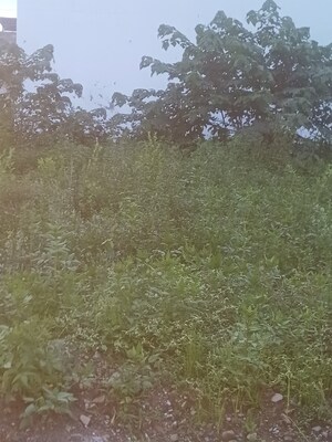  Plot – Garden View at Canal Road - for Sale