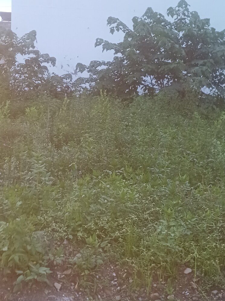 Garden, canal road  156 Sq.Yd. Plot In Canal Road Dehradun 8969749