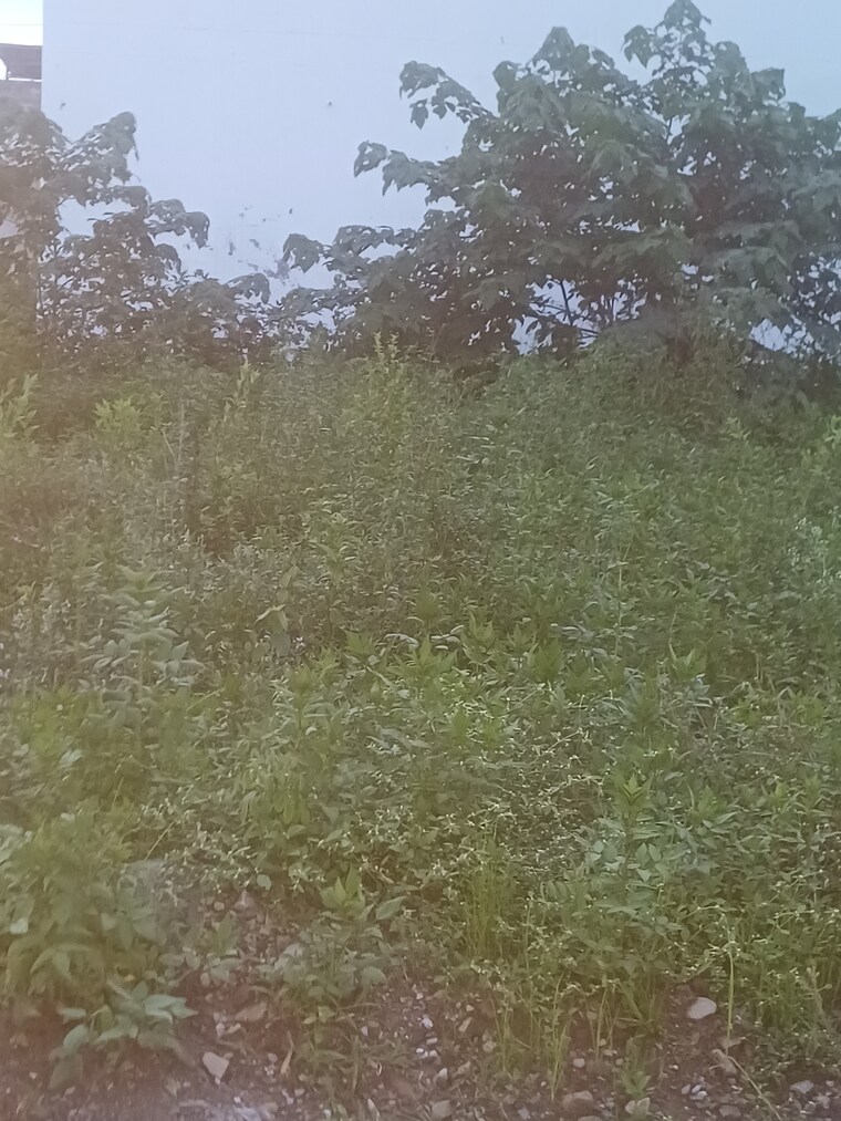 Garden, canal road  156 Sq.Yd. Plot In Canal Road Dehradun 8969749