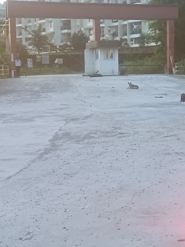 Exterior View, canal road  156 Sq.Yd. Plot In Canal Road Dehradun 8969749