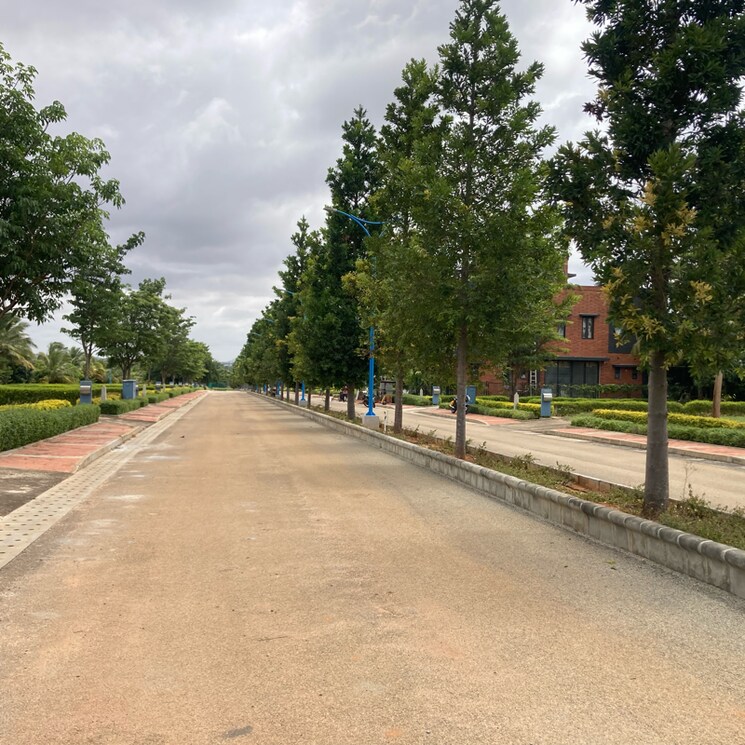 Balcony, devanahalli  4200 Sq.Ft. Plot In Devanahalli Bangalore 8969948