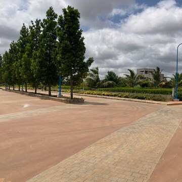 Plot Area in  Plot at Devanahalli – for Sale