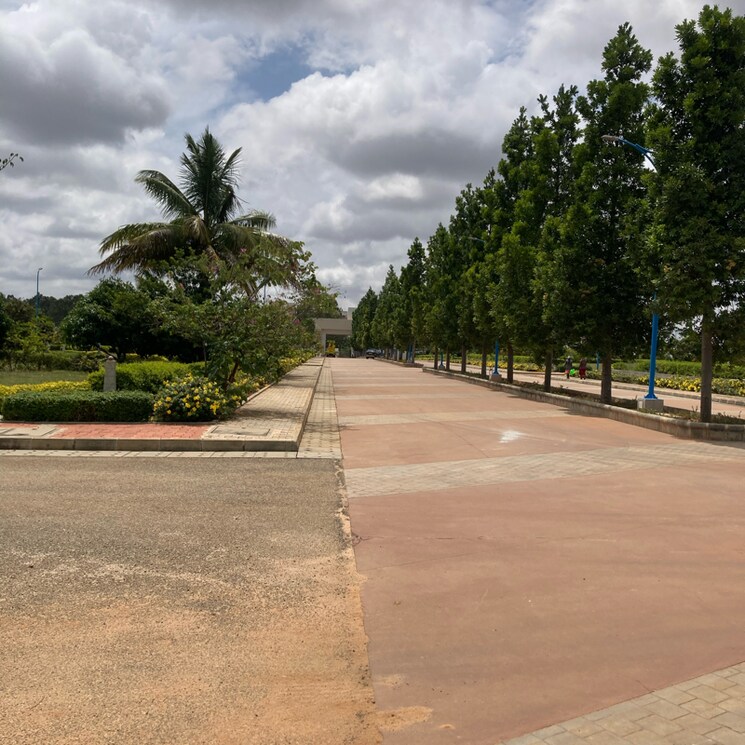 undefined, devanahalli  4200 Sq.Ft. Plot In Devanahalli Bangalore 8969948