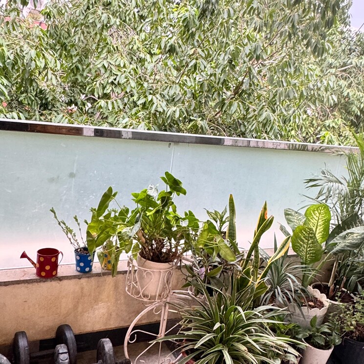 undefined, ansal-sushant-lok-i 3 Bedroom 1780 Sq.Ft. Builder Floor In Sector 43 Gurgaon 8969981