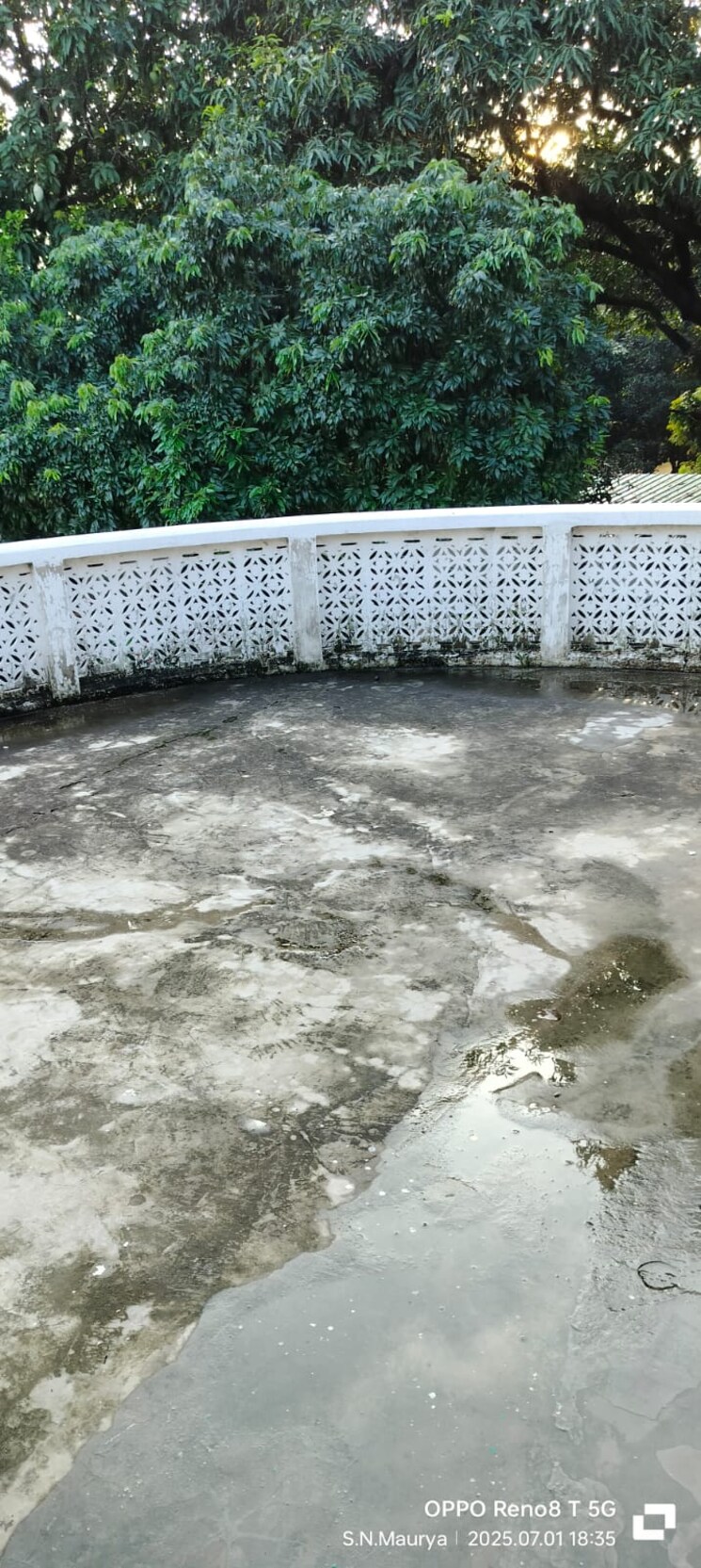  Parking, sector 28 1 Bedroom 800 Sq.Ft. Builder Floor In Sector 28 Chandigarh 8970118