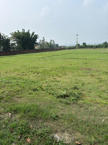 Plot Area in  Plot at Sherpur – for Sale
