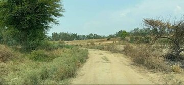Plot Area in  Plot at Raebareli Road – for Sale
