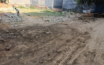 Plot For Sale in Dlf Ankur Vihar