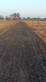 150 Sq.Yd. Plot in Lrg Group 