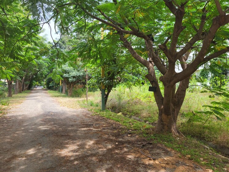 undefined, kothanur  2400 Sq.Ft. Plot In Kothanur Bangalore 8970341