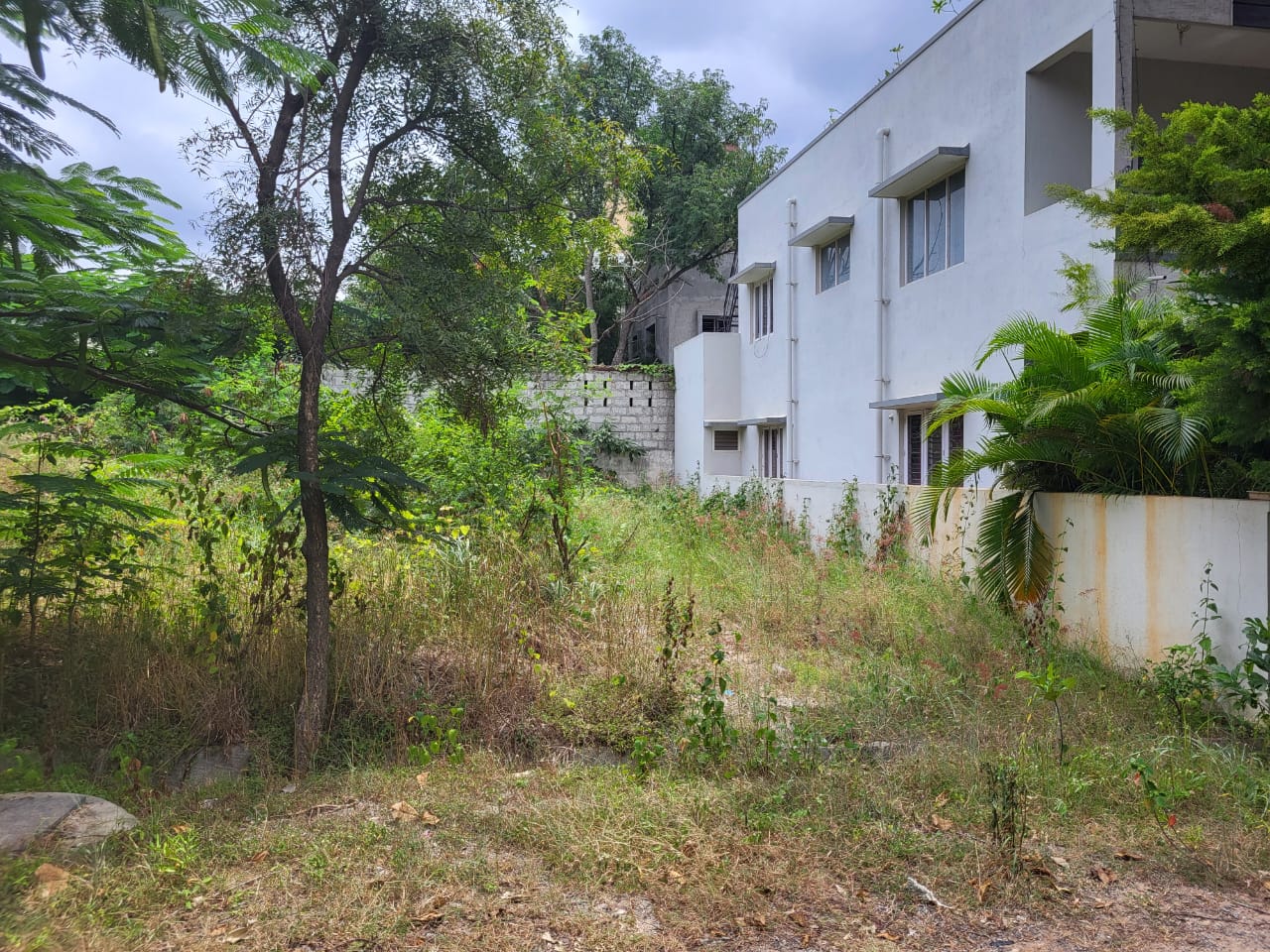 Plot For Sale in Nishchay