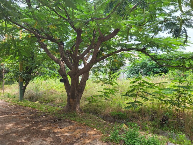 undefined, kothanur  2400 Sq.Ft. Plot In Kothanur Bangalore 8970341