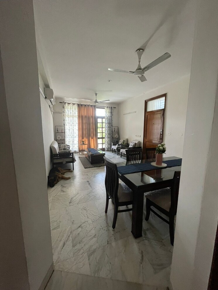 Kitchen, south city 1 3 Bedroom 240 Sq.Yd. Builder Floor In South City 1 Gurgaon 8970410