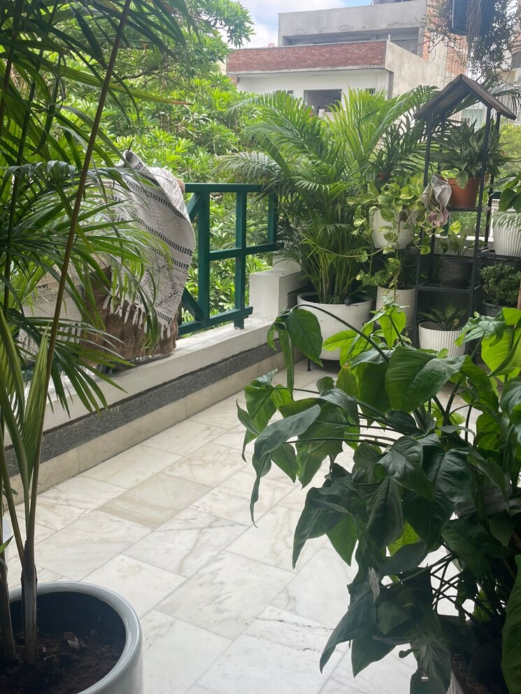 Balcony, south city 1 3 Bedroom 240 Sq.Yd. Builder Floor In South City 1 Gurgaon 8970410