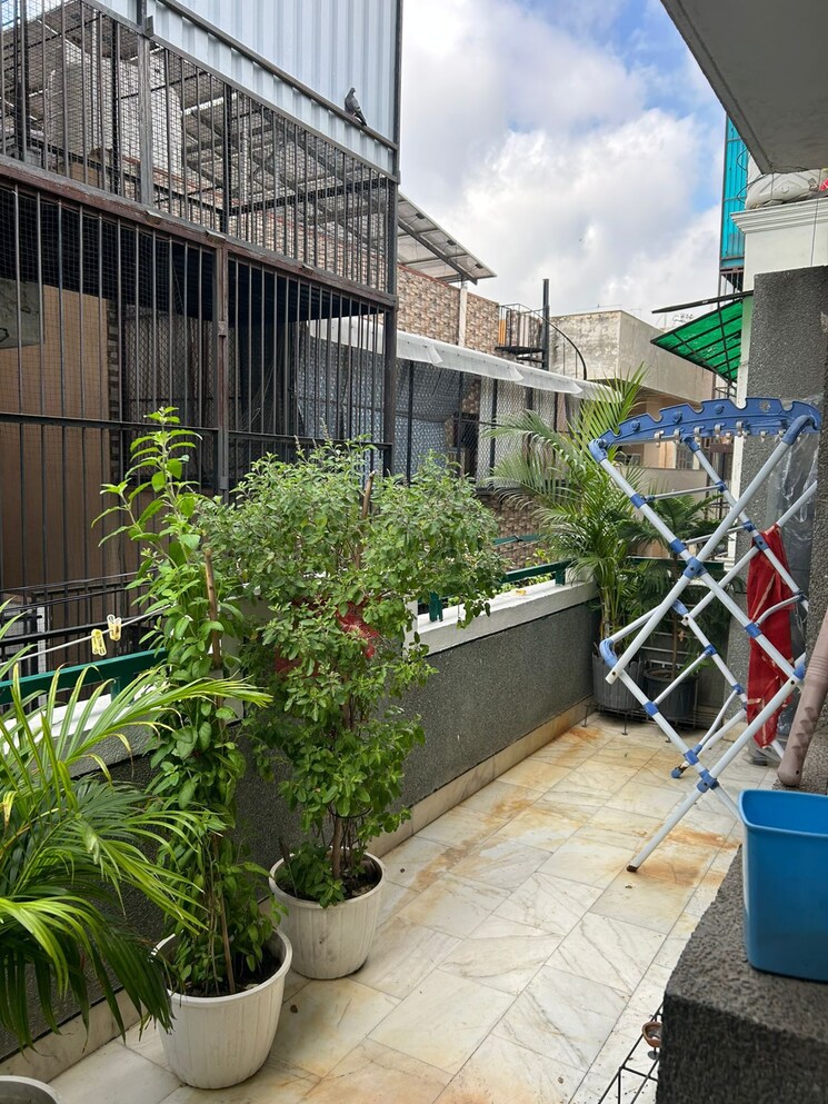 Balcony, south city 1 3 Bedroom 240 Sq.Yd. Builder Floor In South City 1 Gurgaon 8970410