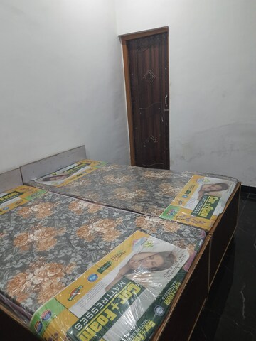  Pg For Rent in Sector 63a