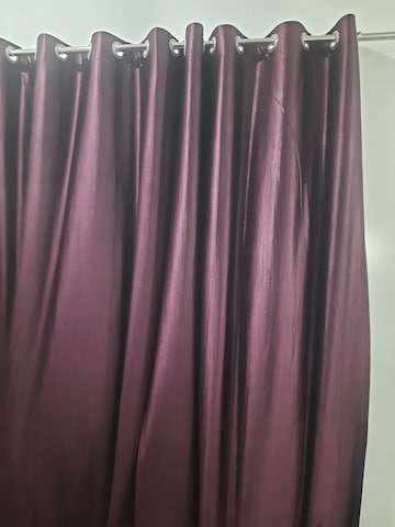 Furnished Amenities in  Pg at Sector 63a – for Rent
