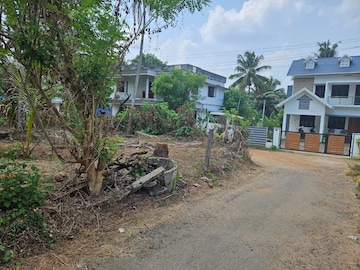 Plot Area in  Plot at Mannuthy – for Sale