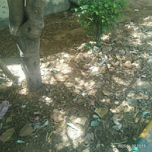  Plot For Sale in Alamgir